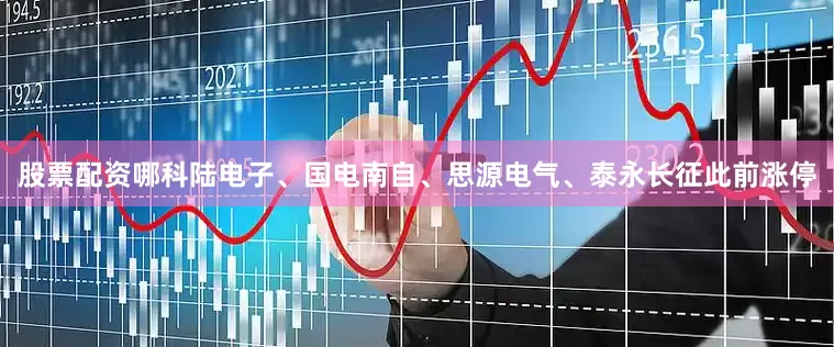 股票配资哪科陆电子、国电南自、思源电气、泰永长征此前涨停