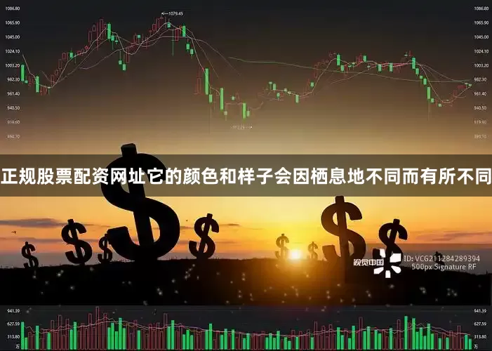 正规股票配资网址它的颜色和样子会因栖息地不同而有所不同