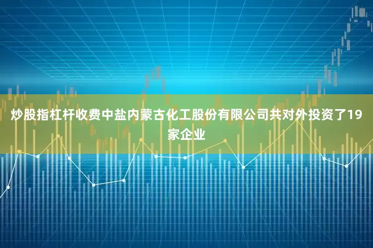 炒股指杠杆收费中盐内蒙古化工股份有限公司共对外投资了19家企业