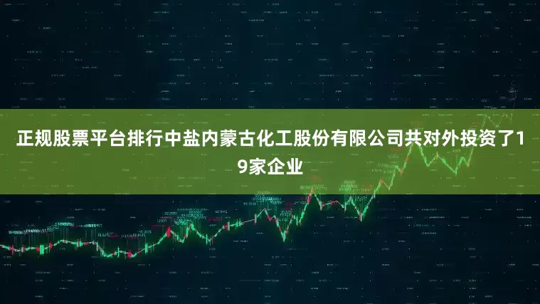 正规股票平台排行中盐内蒙古化工股份有限公司共对外投资了19家企业
