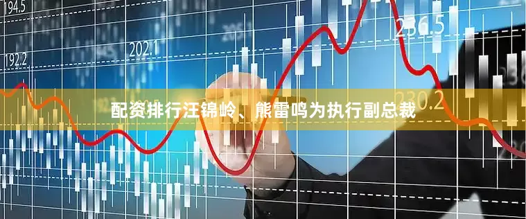 配资排行汪锦岭、熊雷鸣为执行副总裁